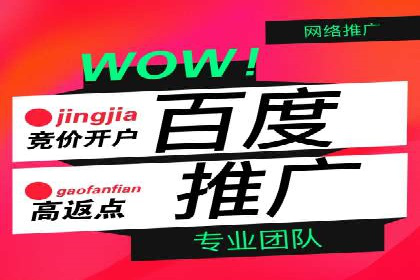 竞价推广公司案例：揭秘成功背后的秘密